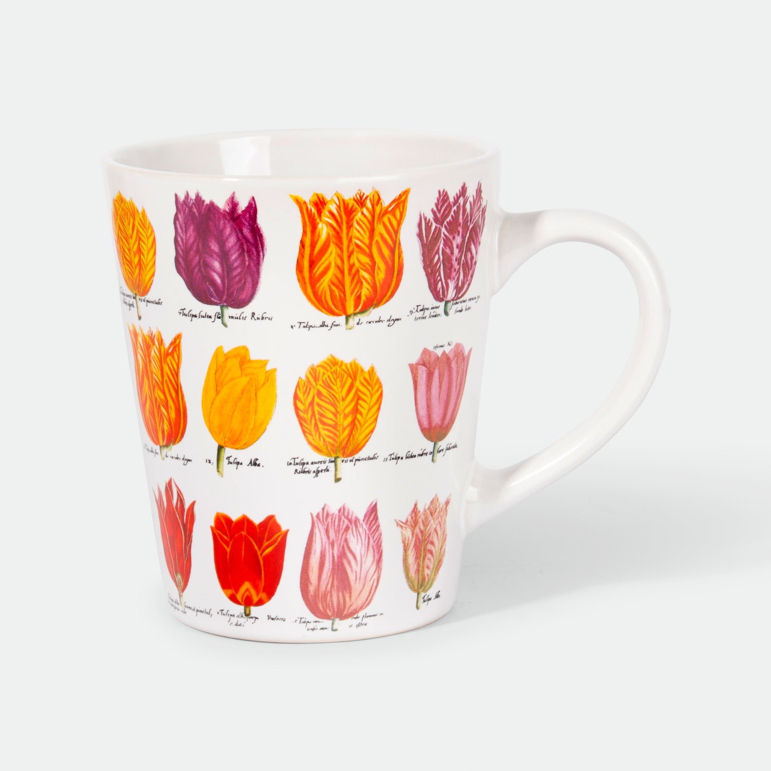 V-shape mug - Tulips